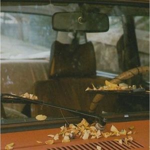 Meet your Posher, Lainey